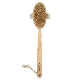 Detachable Wooden Handle Bath Brush-YBB009